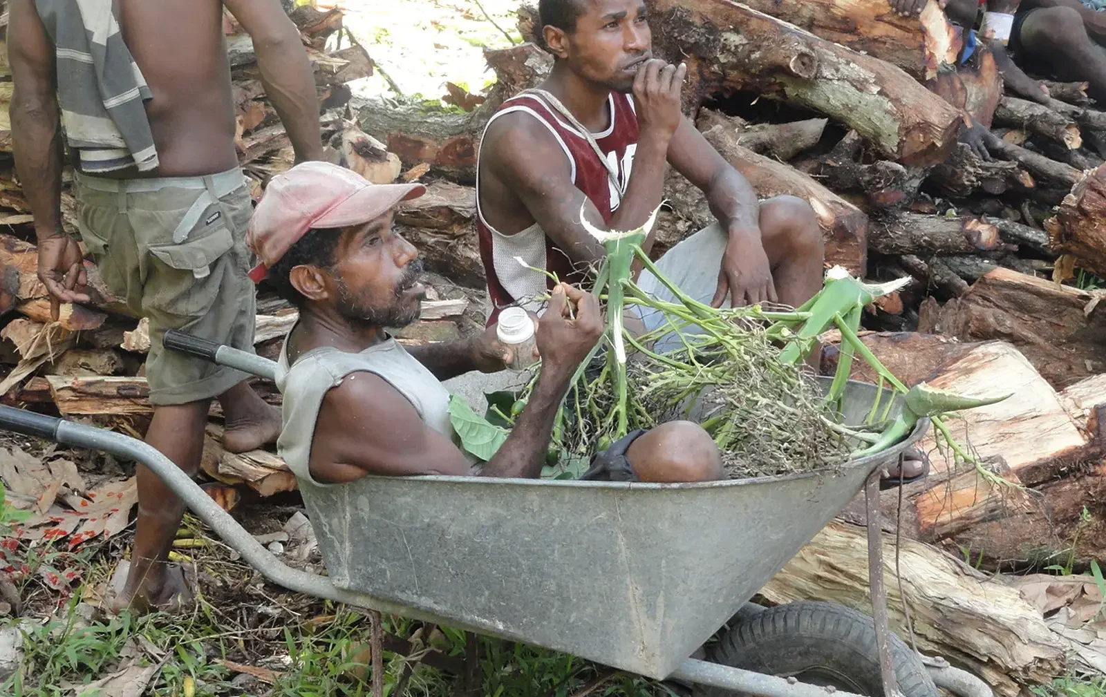 Ethnos360 Blog from drug addict to elder